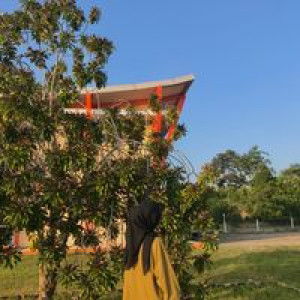 Mezy Apriyani profile icon