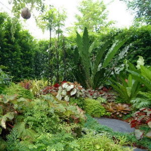 Mk Kirara profile icon