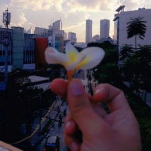 mamiutun profile icon