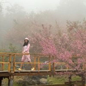 Tasaly B Smile profile icon