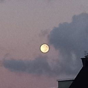 Yeppooyoo profile icon