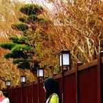 siwit handayani profile icon