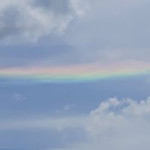 Ava Lmy profile icon