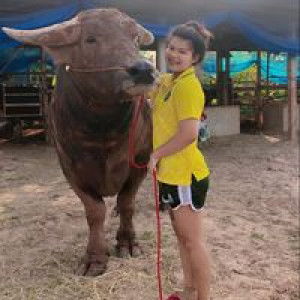 Num Luknum profile icon