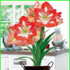 rita afriyeni profile icon