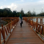okvitariana agitaningtyas profile icon