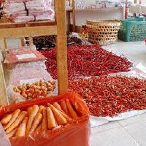 Boto Sayur profile icon