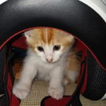 Sukma Wati profile icon