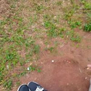 Putraa Aryani profile icon