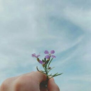 Firza ahila profile icon