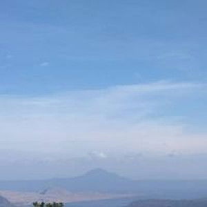 Michelle Pajantoy profile icon