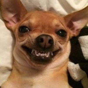 Jeerawan Pud profile icon