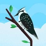 Metchei Calawod profile icon