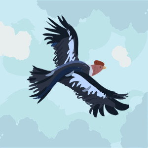 Dilah Nur profile icon