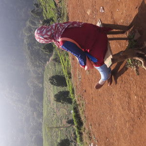 Risti Dwi profile icon