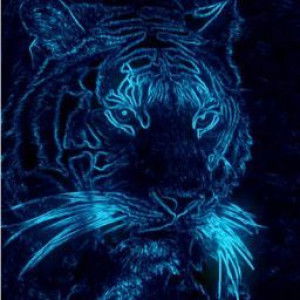 Afiffah dr profile icon