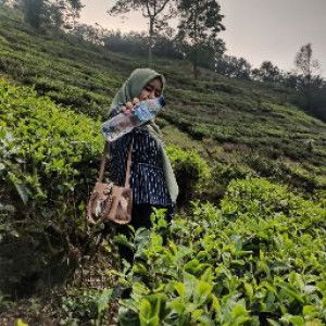 Putri Hardiyanti profile icon