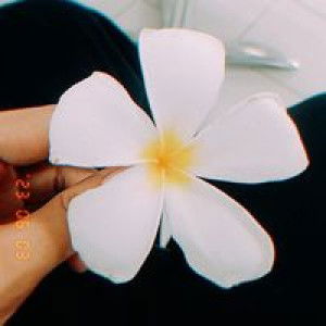 Angela Roda profile icon