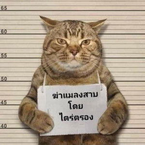 Pat 2426 profile icon