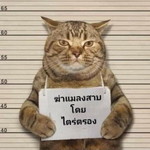 Pat 2426 profile icon