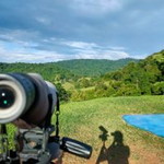 Toon Thongsung profile icon