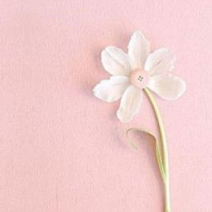 Siti Khumaeroh profile icon