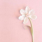 Siti Khumaeroh profile icon