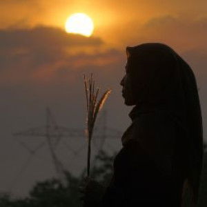 Firda Afifah Damayanti profile icon