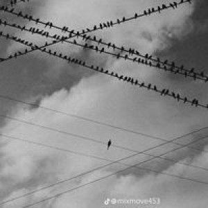 นาย กระจอก profile icon