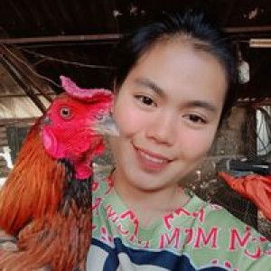 ผู้สาว'วว มัก'กกไก่' profile icon