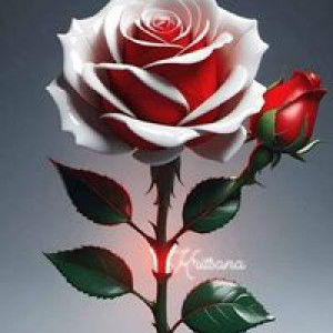 ไป๋ ไป๋ profile icon