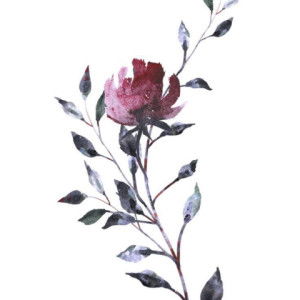 alia manip profile icon