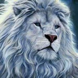 Iril Iriel profile icon