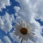 Kadek Mita profile icon