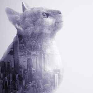 Kathrine Pie Francisco profile icon