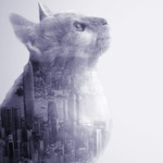 Kathrine Pie Francisco profile icon