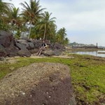 Meli Gustia profile icon