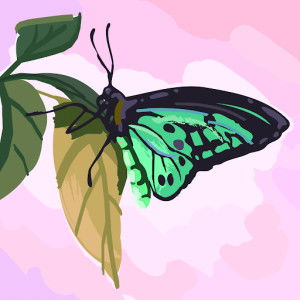 nurliyana Binti Hamid profile icon