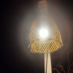 Davi Andra profile icon