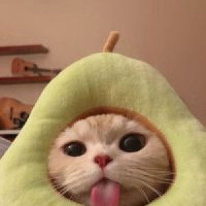 Aya Faye profile icon