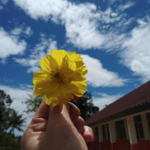 Silvergunnn profile icon