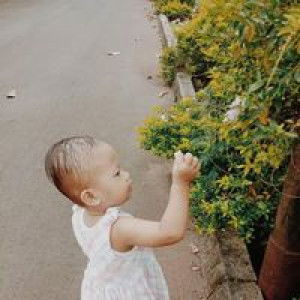 Dezy Novhiantie profile icon