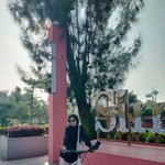 Citra Ayu Lestari profile icon