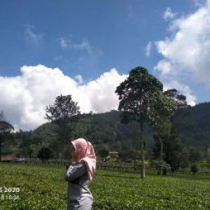 Reni Prasetyaningrum profile icon