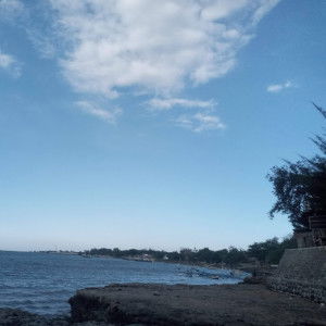 Dyanaagnesia Rosyanti profile icon