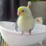 Trapanee Kumpannaree profile icon