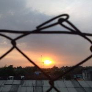 Fillah Amalia profile icon