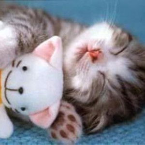 dewi puspitasari profile icon