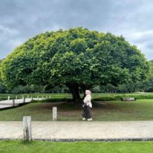 Anatta Prasert profile icon