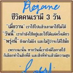 นานานานา น่าน่าน่าน่า profile icon